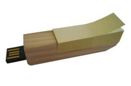 Wooden USB Flash Drive EUW-041