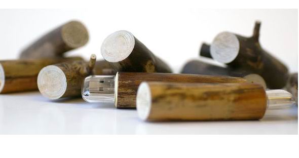 Wooden USB Flash Drive EUW-053